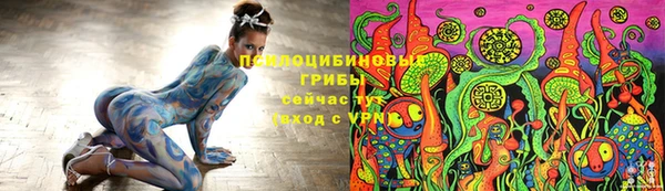 бутират Каменка