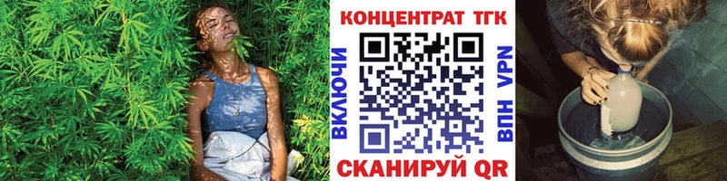 Купить  Терек  ТГК концентрат 